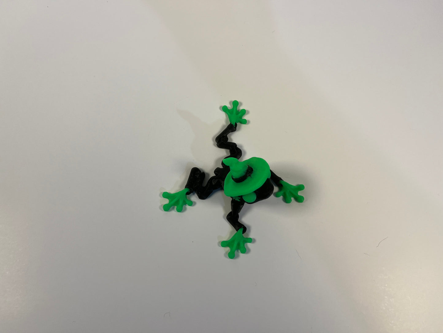 Articulated Witch Frog