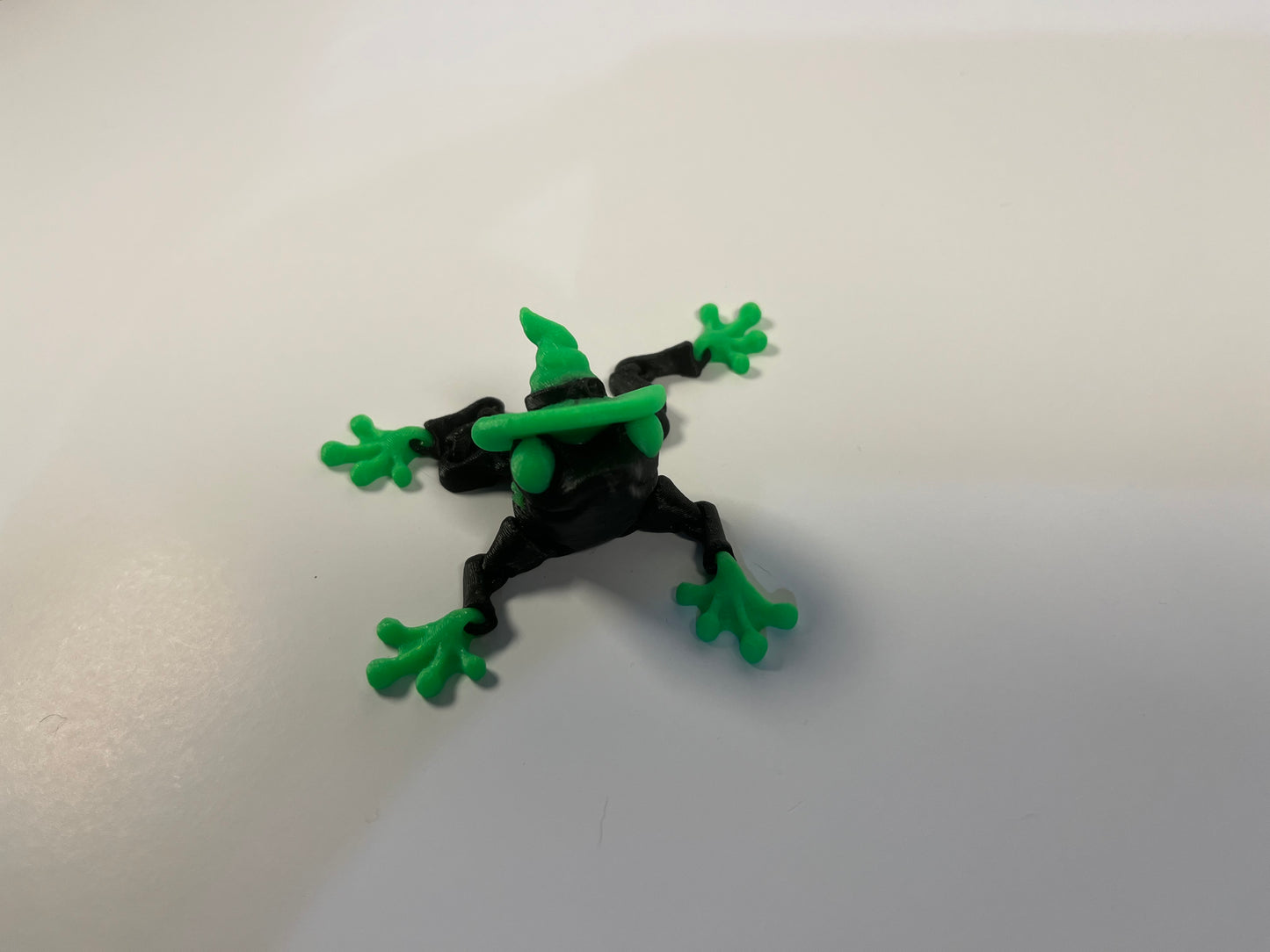 Articulated Witch Frog