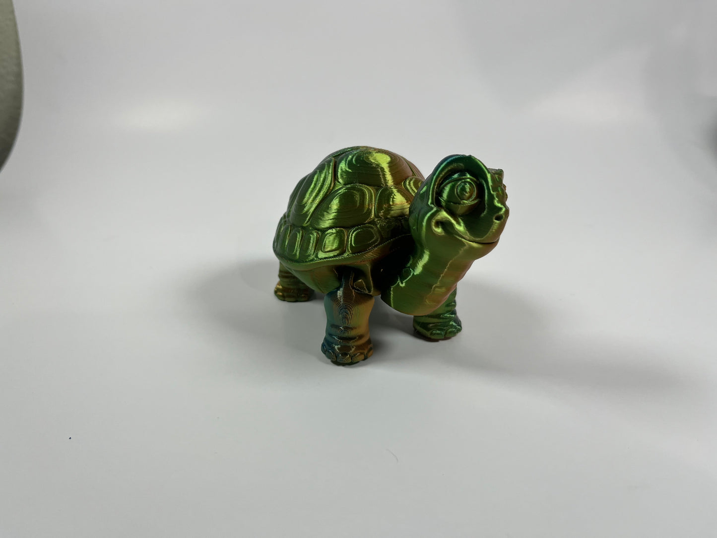 ARTICULATED TURTLE