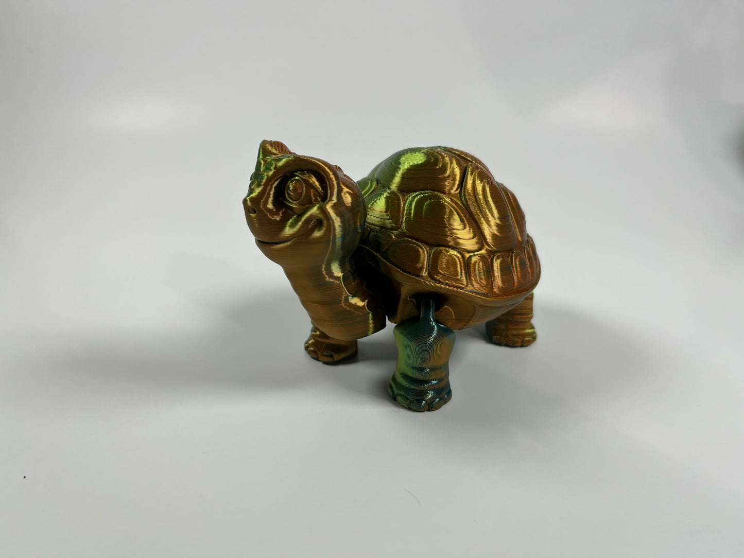 ARTICULATED TURTLE