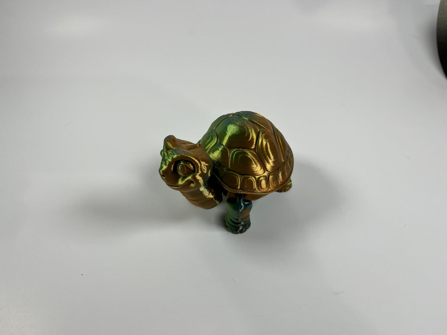 ARTICULATED TURTLE