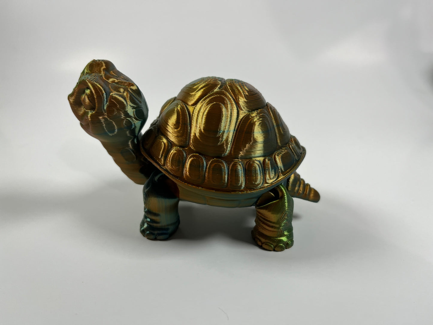 ARTICULATED TURTLE